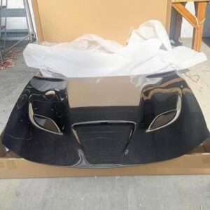 Dodge Charger Hellcat Carbon Fiber Hood